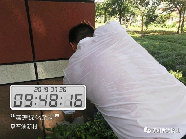 微信圖片_20190806153736 微信圖片_20190806153736